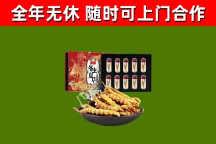 开封市回收冬虫夏草价格