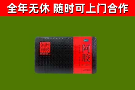 开封市回收阿胶